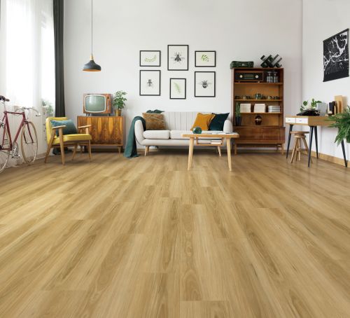 Stella Mellow Blackbutt